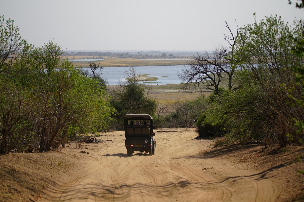 Weg durch den Chobe-Nationalpark