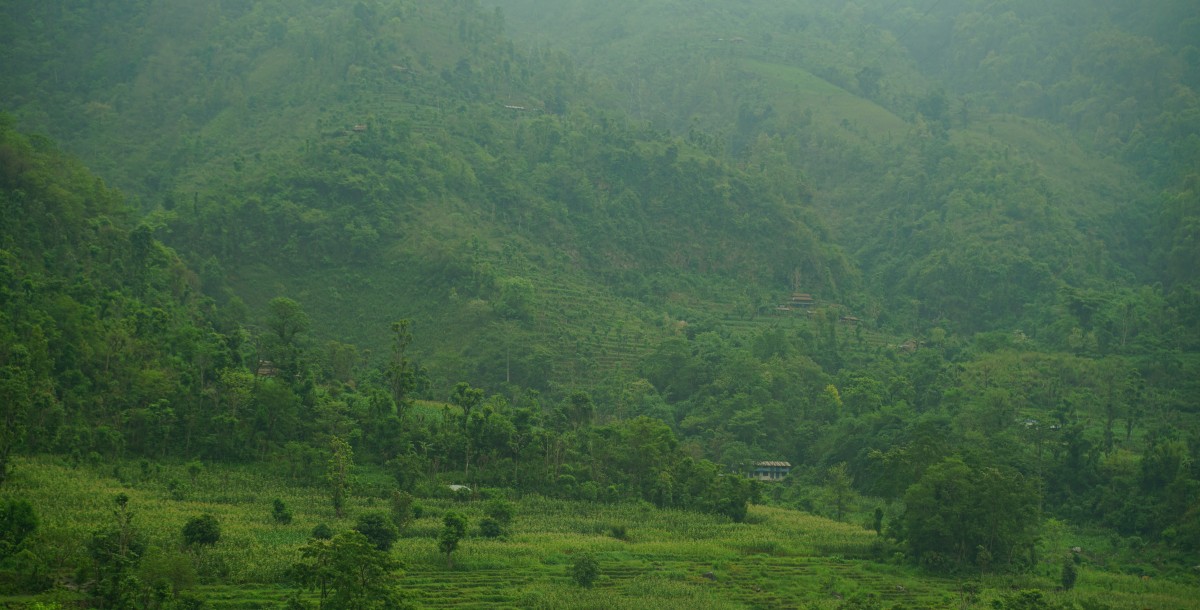 Hang mit Bebauung und Feldern im Trishuli-Tal