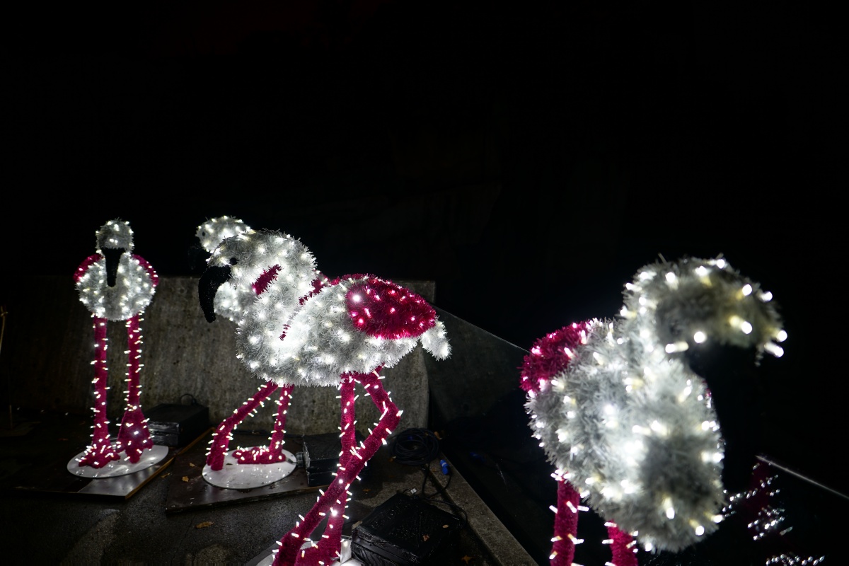 Flamingos aus Kunststofffasern in der Wilhelma während des Christmas Garden
