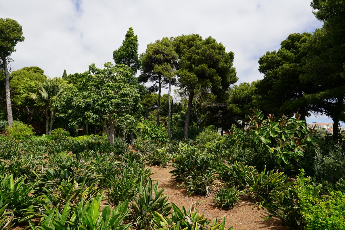 Botanischer Garten der Quinta Spendida in Caniço auf Madeira