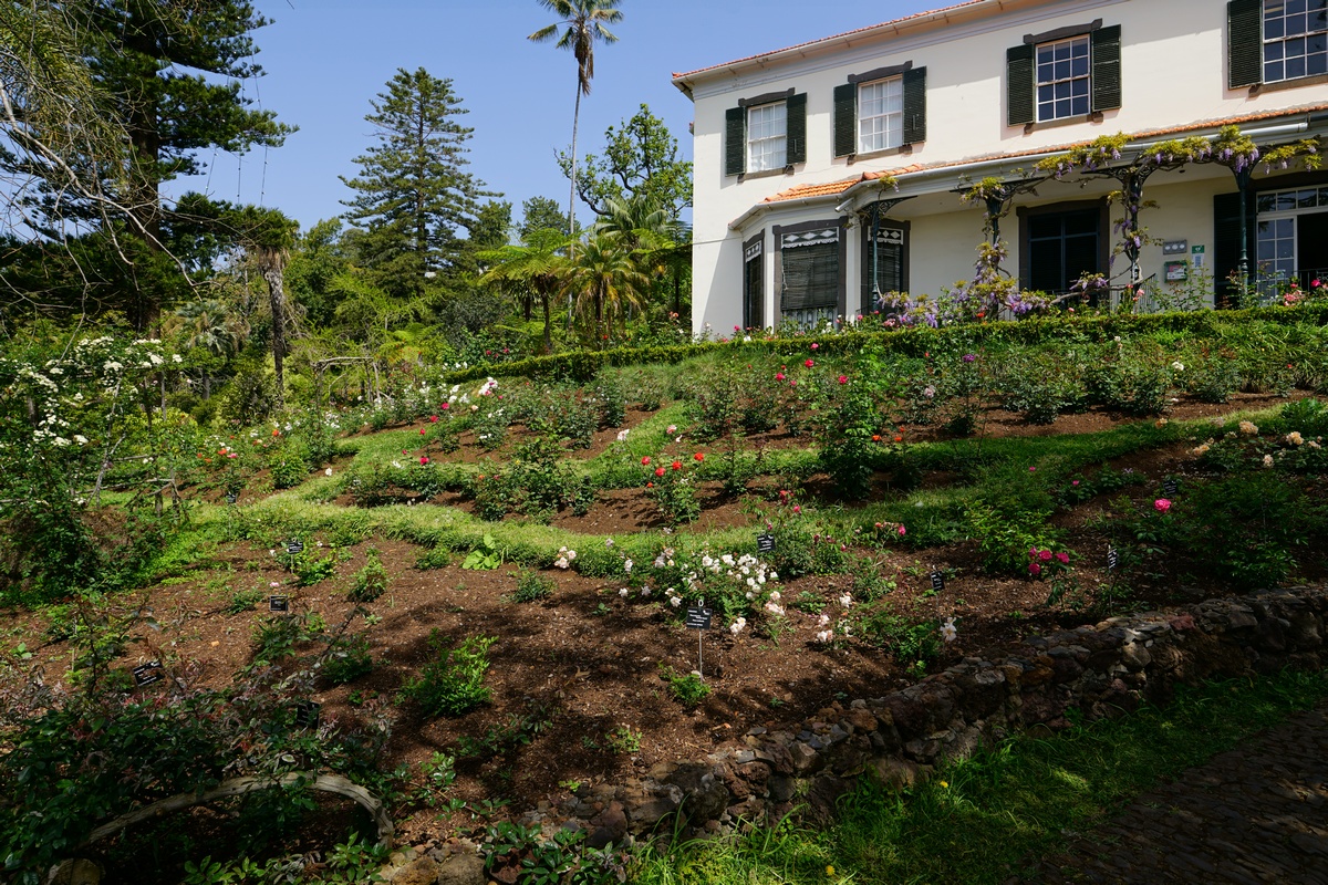 Inmitten des Botanischen Gartens von Funchal auf Madeira steht dieses Herrenhaus