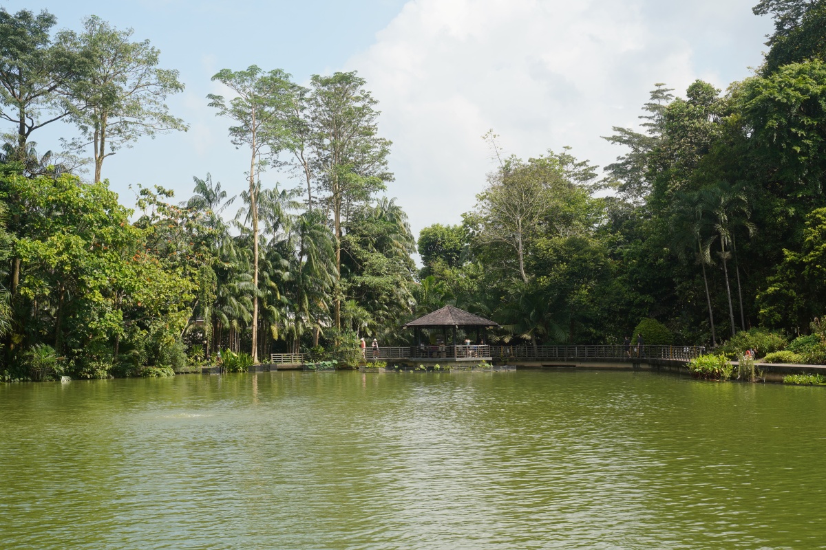 Symphony Lake im Botanischen Garten von Singapur