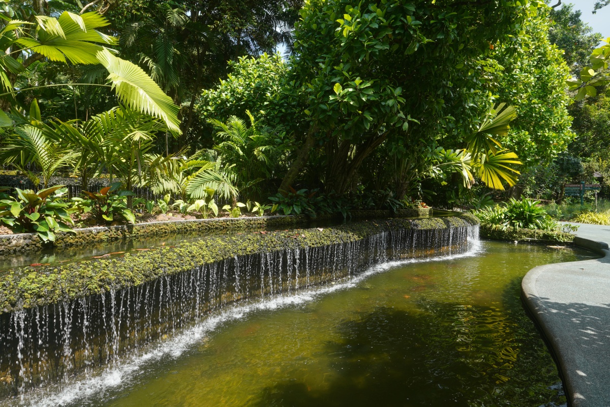 Kleiner Wasserfall im Botanischen Garten von Singapur