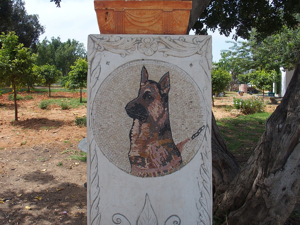 Bardo-Schäferhund-Denkmal