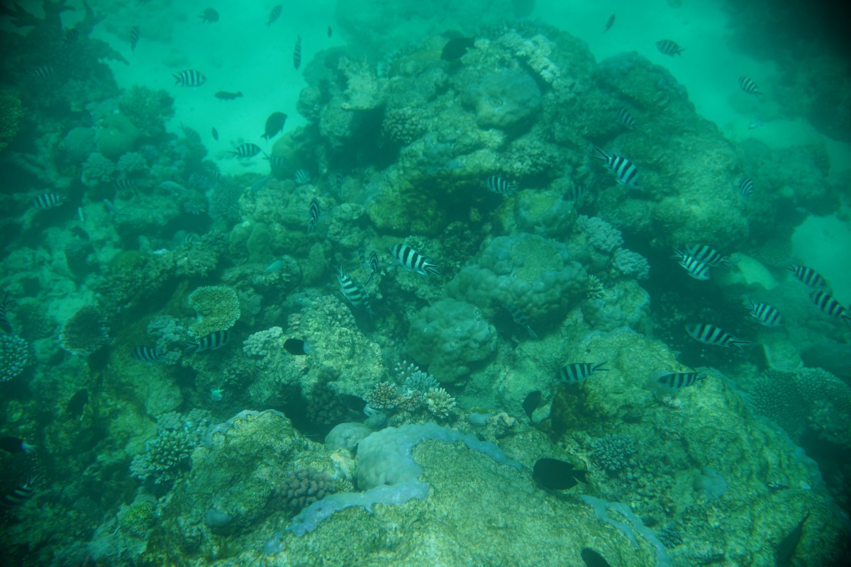 Unterwasserfoto