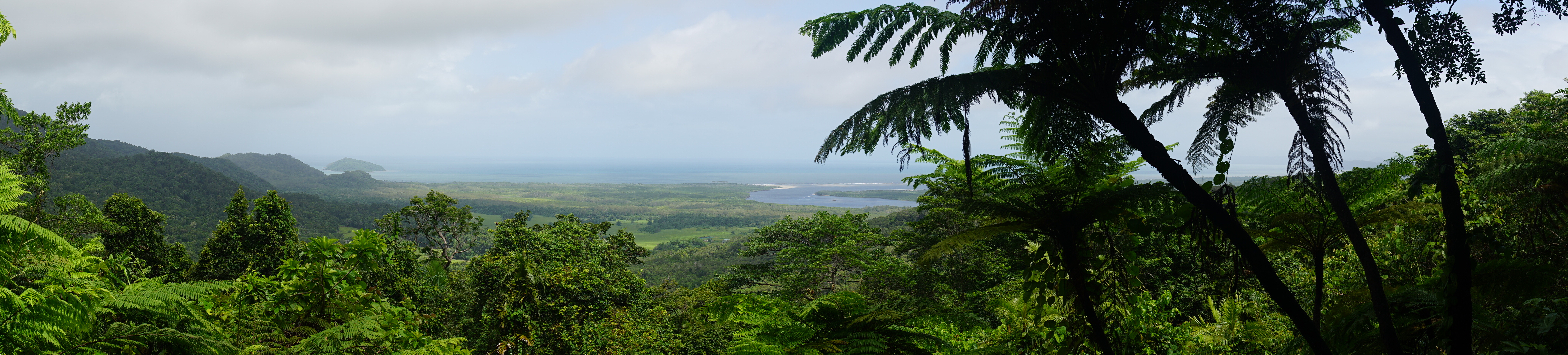Panorama vom Mount Alexandra Lookout