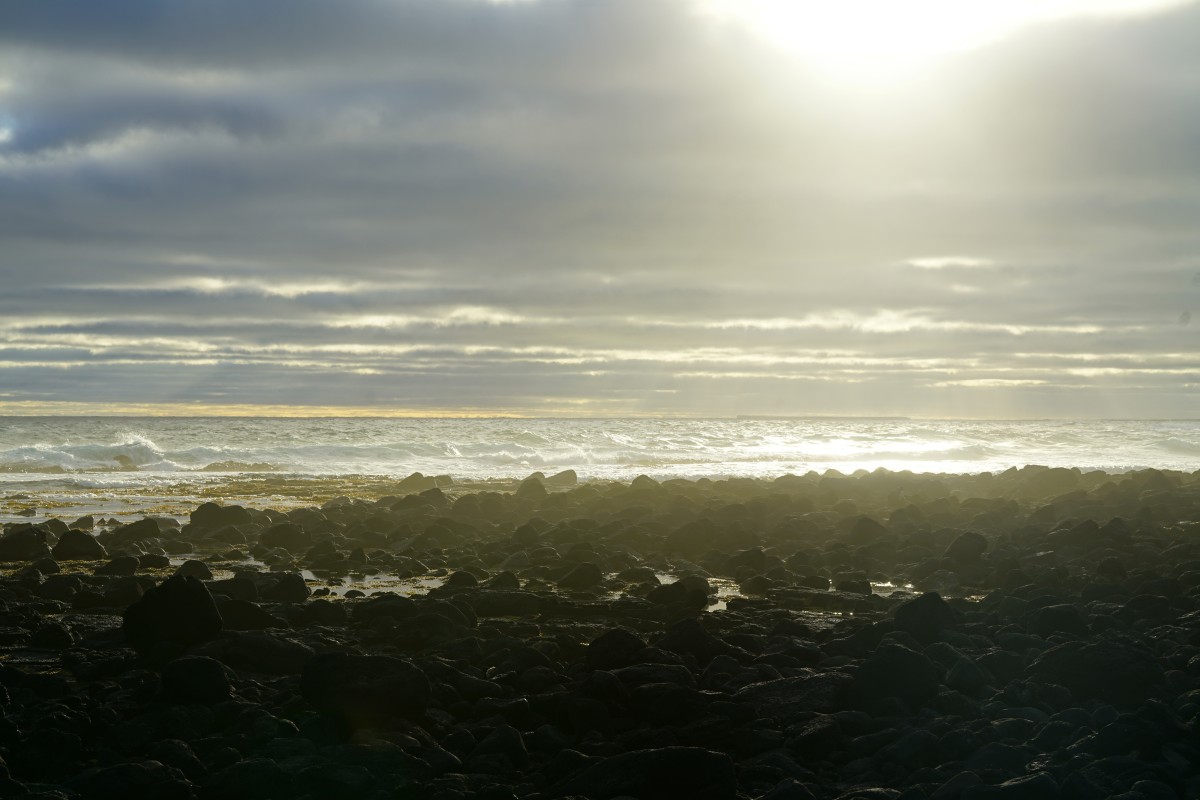 Küste von Griffitts Island im Sonnenuntergang