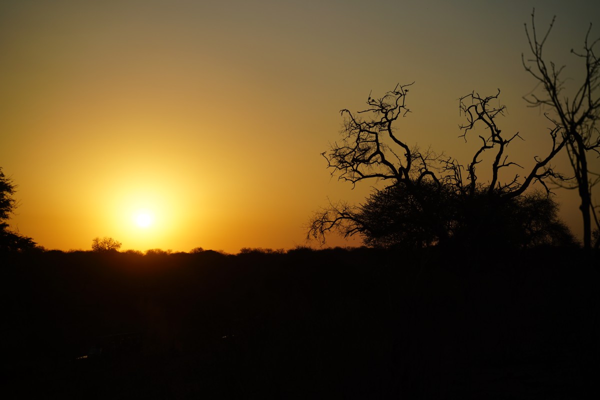Sonnenaufgang im Chobe-Nationalpark