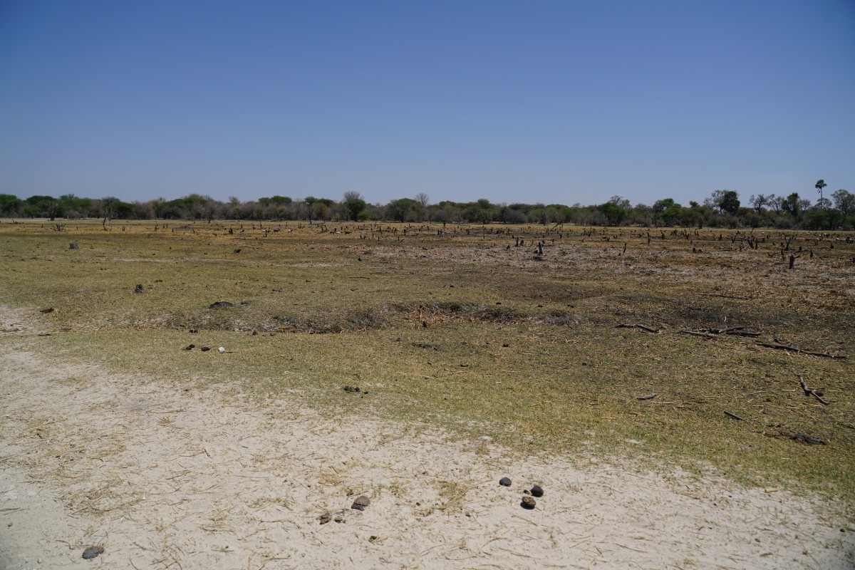 Ausgetrocknetes Okavango-Delta