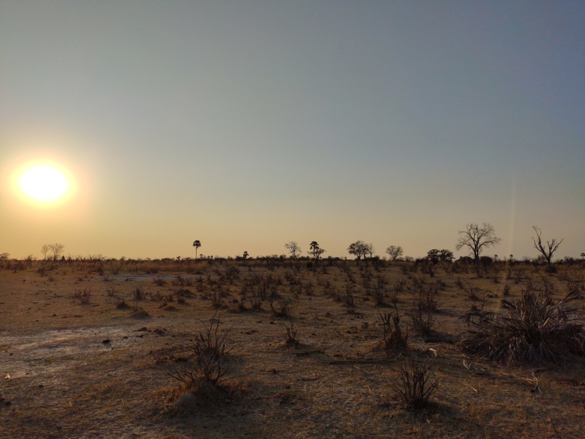 Sonnenaufgang über dem Okavango-Delta