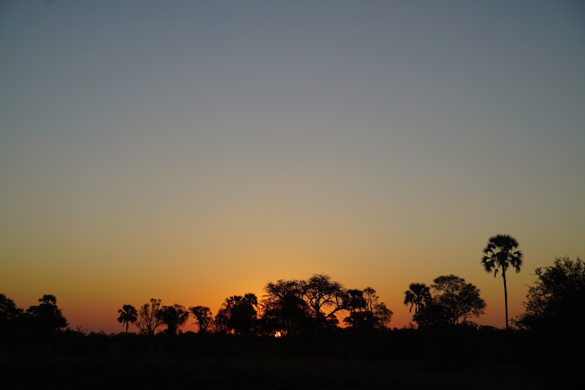Sonnenuntergang über dem Okavango-Delta
