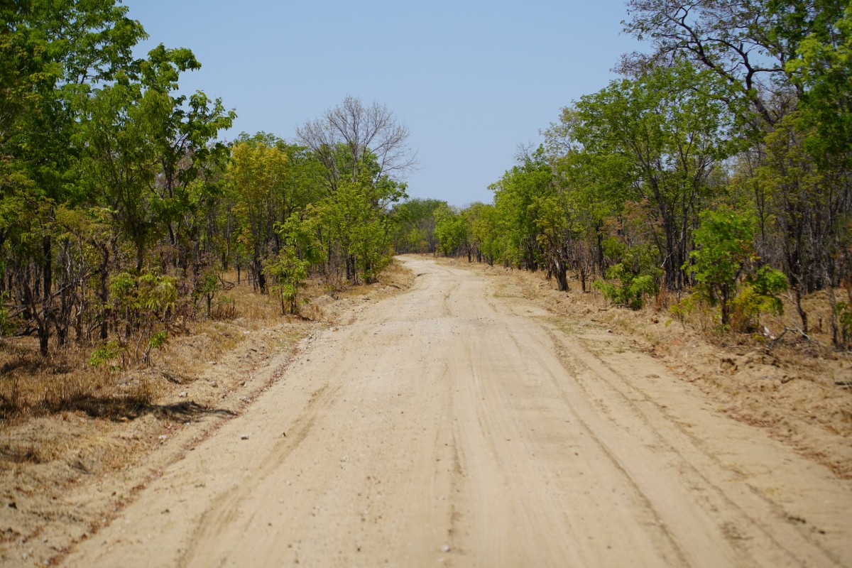 Straße im Hwange-Nationalpark