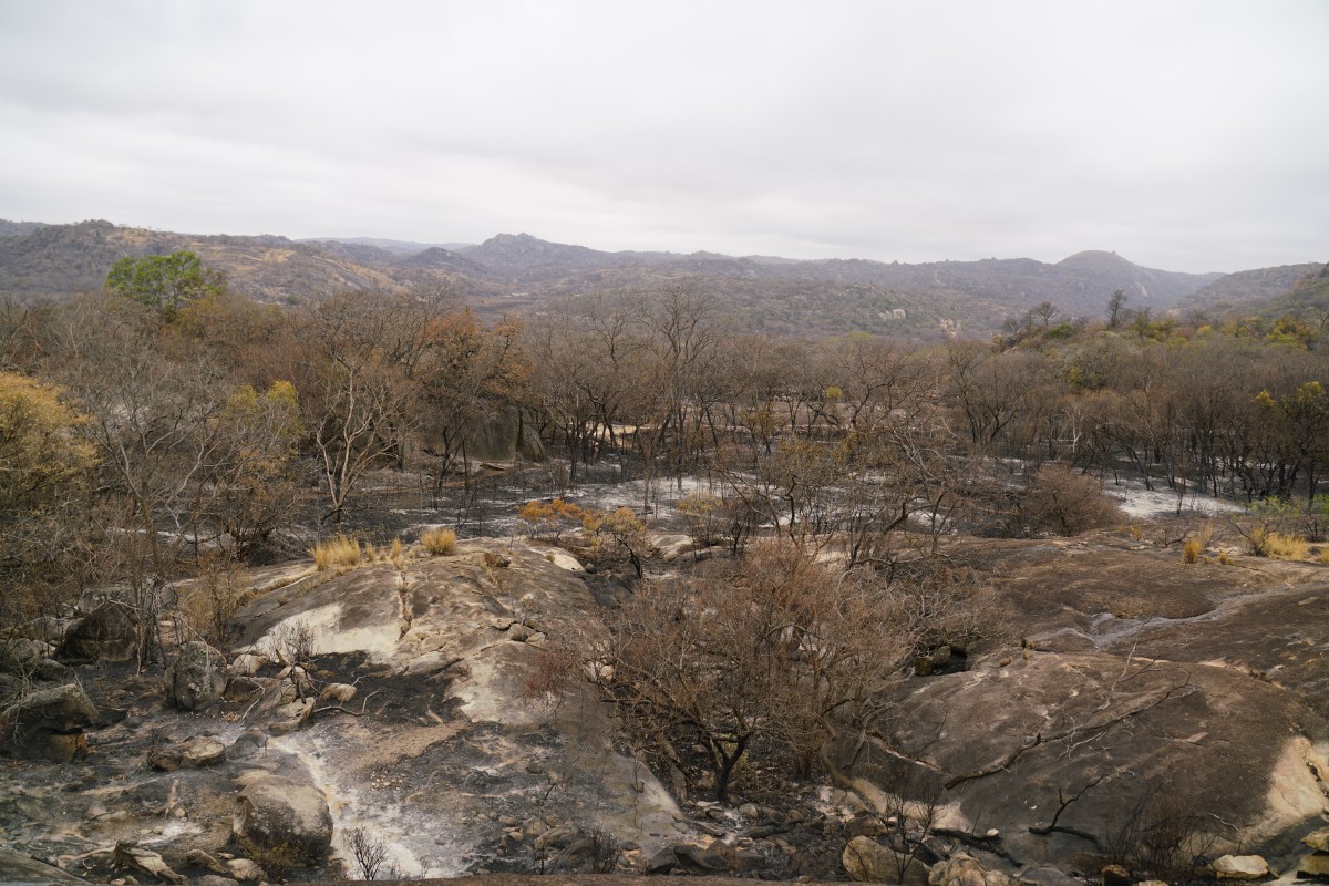Blick von den Nswatugi-Höhlenmalereien auf den Weg durch verbranntes Gebiet