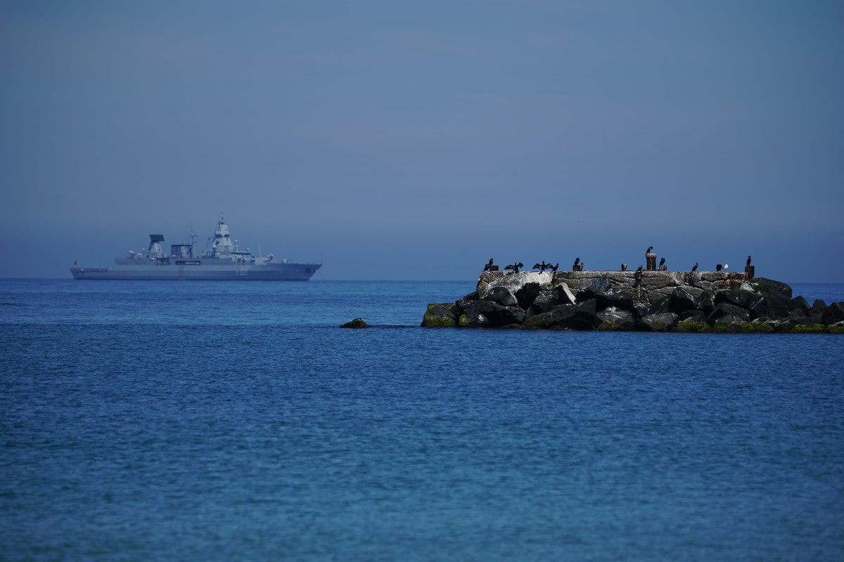 Kormorane (und eine einzige Silbermöwe), im Hintergrund die Fregatte Hamburg