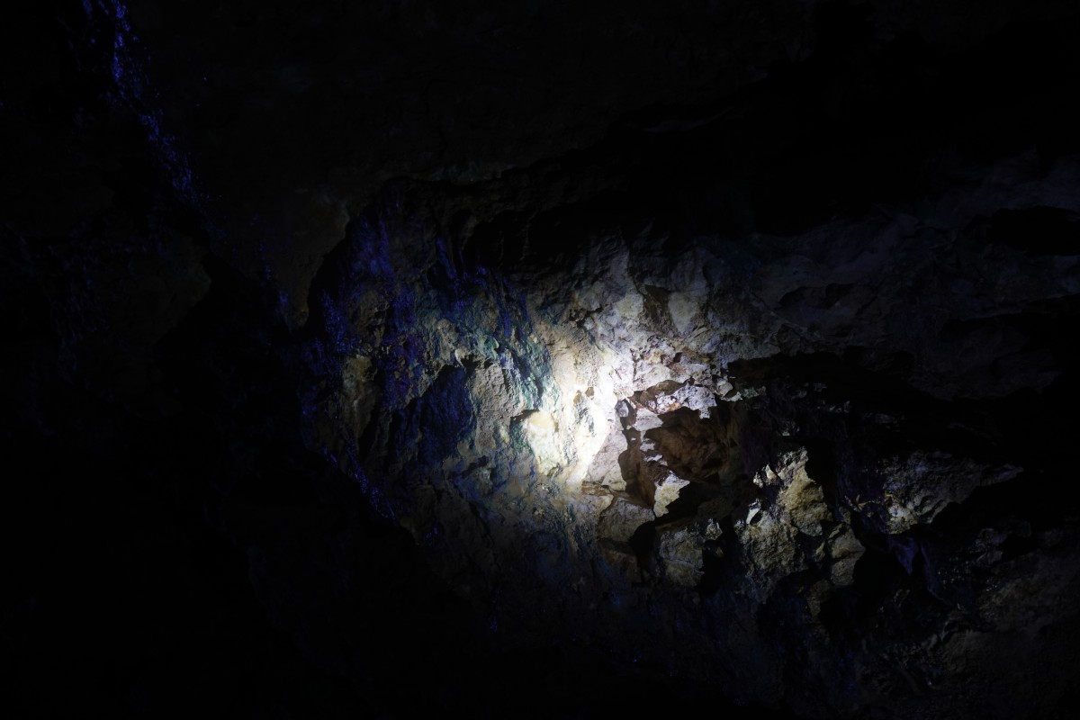 Fledermaus in der Bat Cave (Fledermaushöhle)