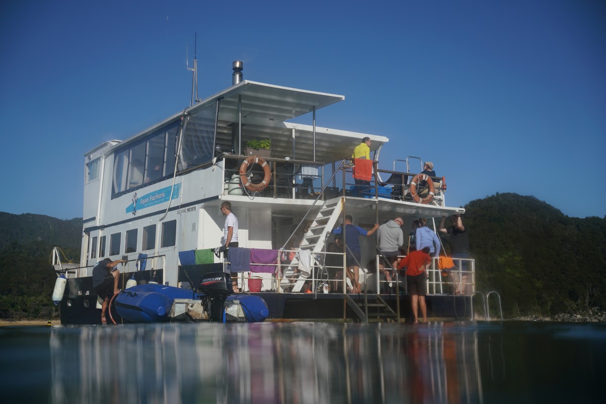 Aqua-Packers-Hausboot aus der Froschperspektive (falls Frösche Salzwasser abkönnen...)