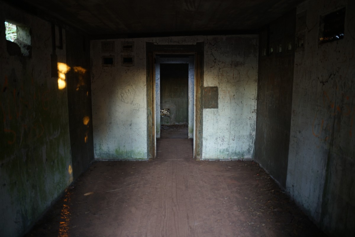 In einem Bunker auf Rangitoto Island
