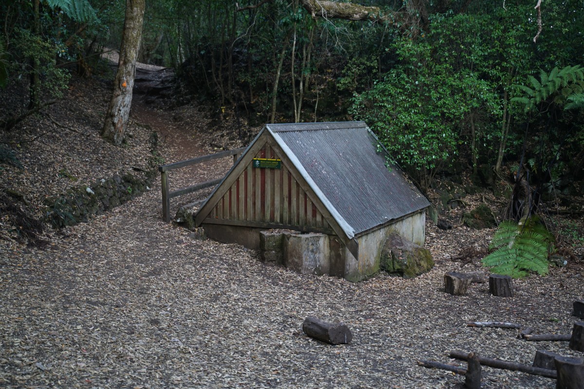 Militärische Hütte im Wald auf Rangitoto Island