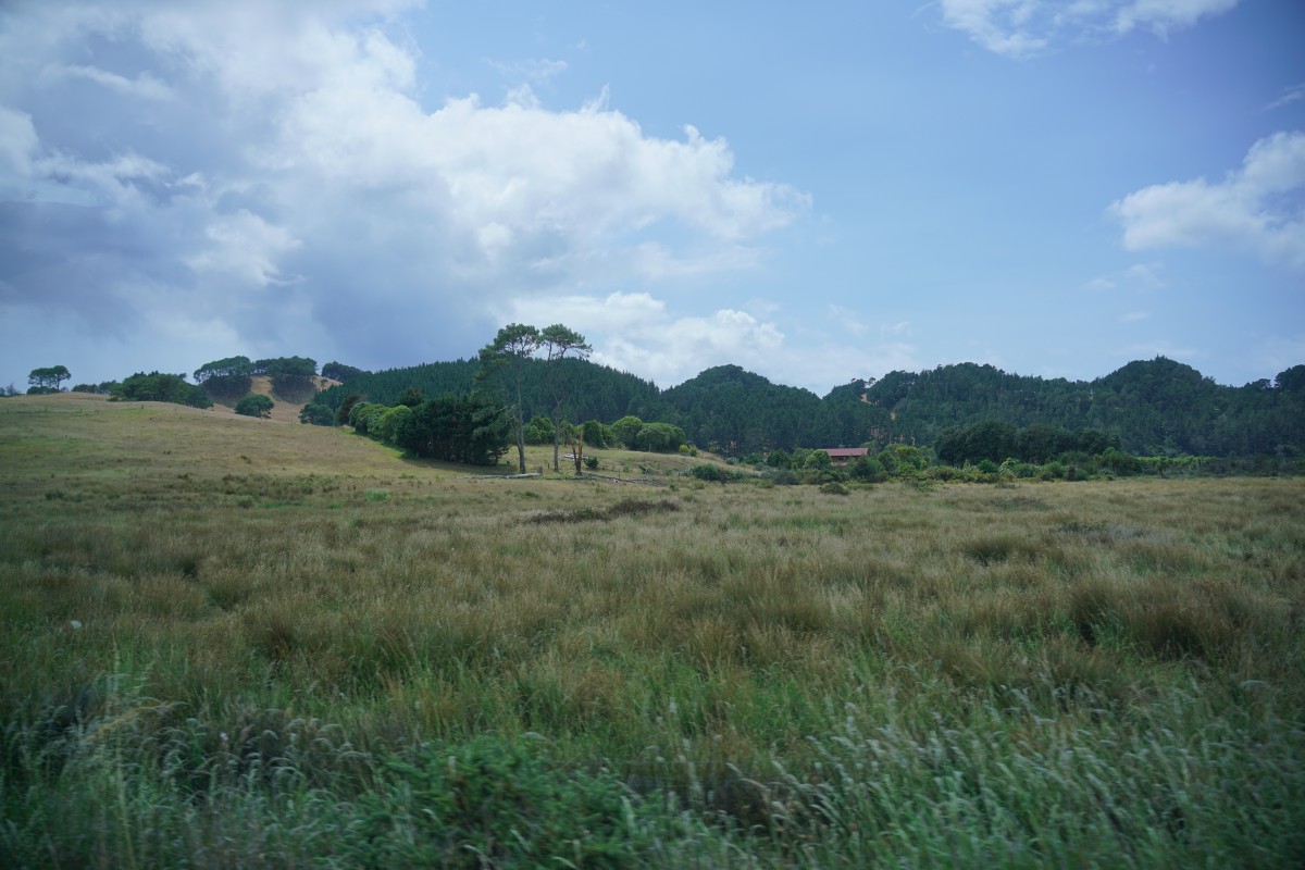 Landschaft auf der Coromandel-Halbinsel
