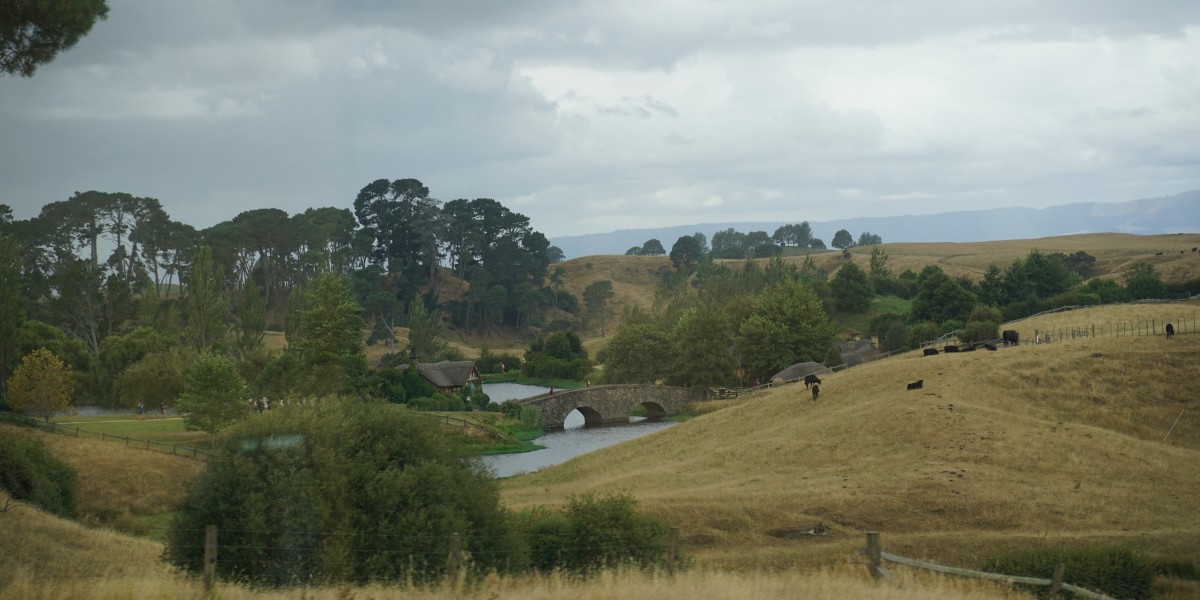 Blick über die Alexander-Farm mit Kühen und Grünem Drachen im Hintergrund