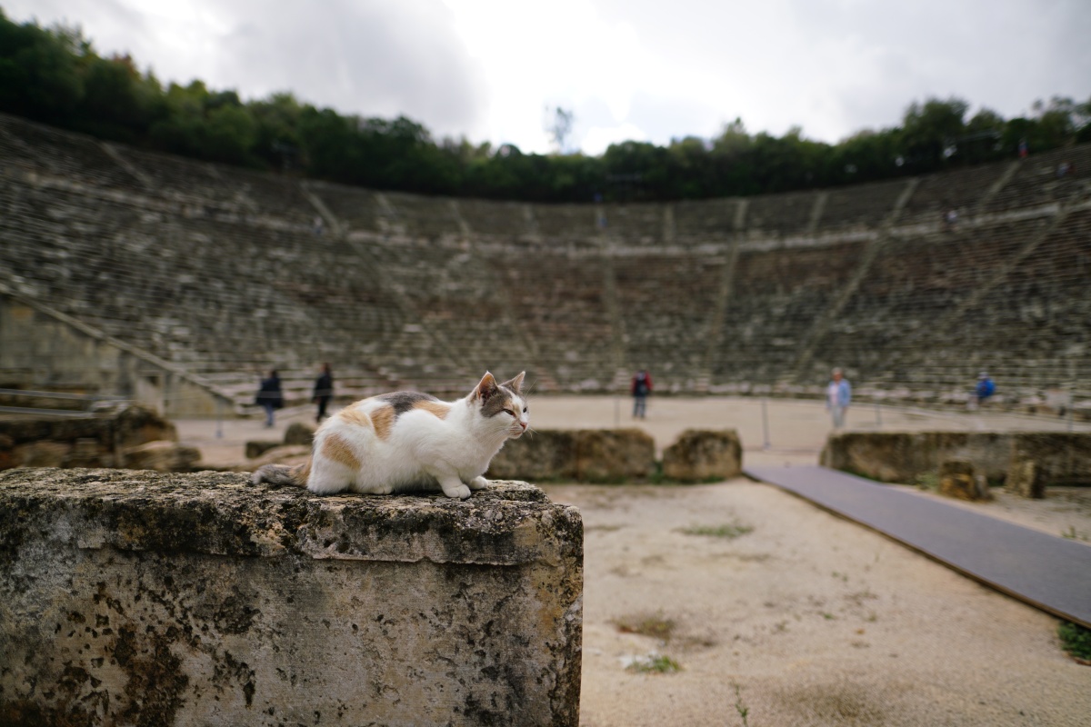 Katze liegt im Theater von Epidauros