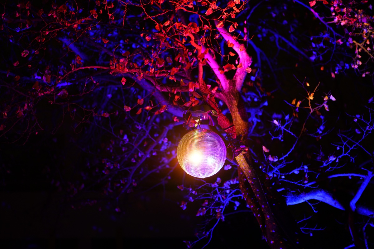 Eine Discokugel hängt in der Wilhelma während des Christmas Garden in einem Baum
