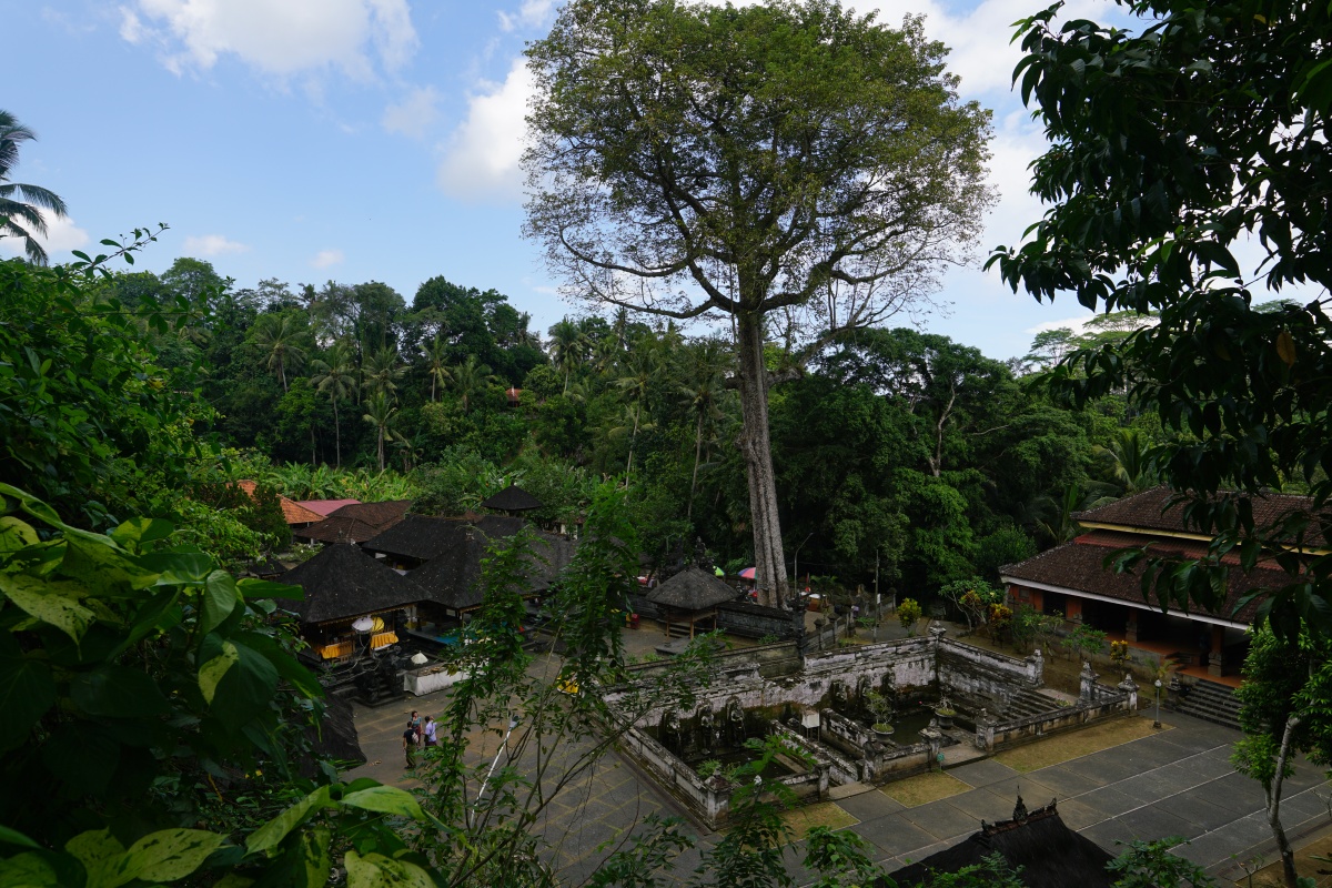 Blick auf Goa Gajah auf Bali