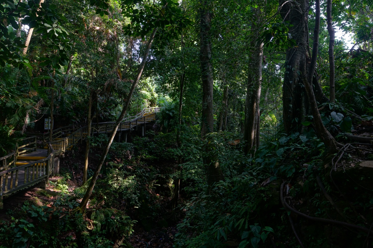 Bohlenweg durch den Affenwald von Ubud auf Bali