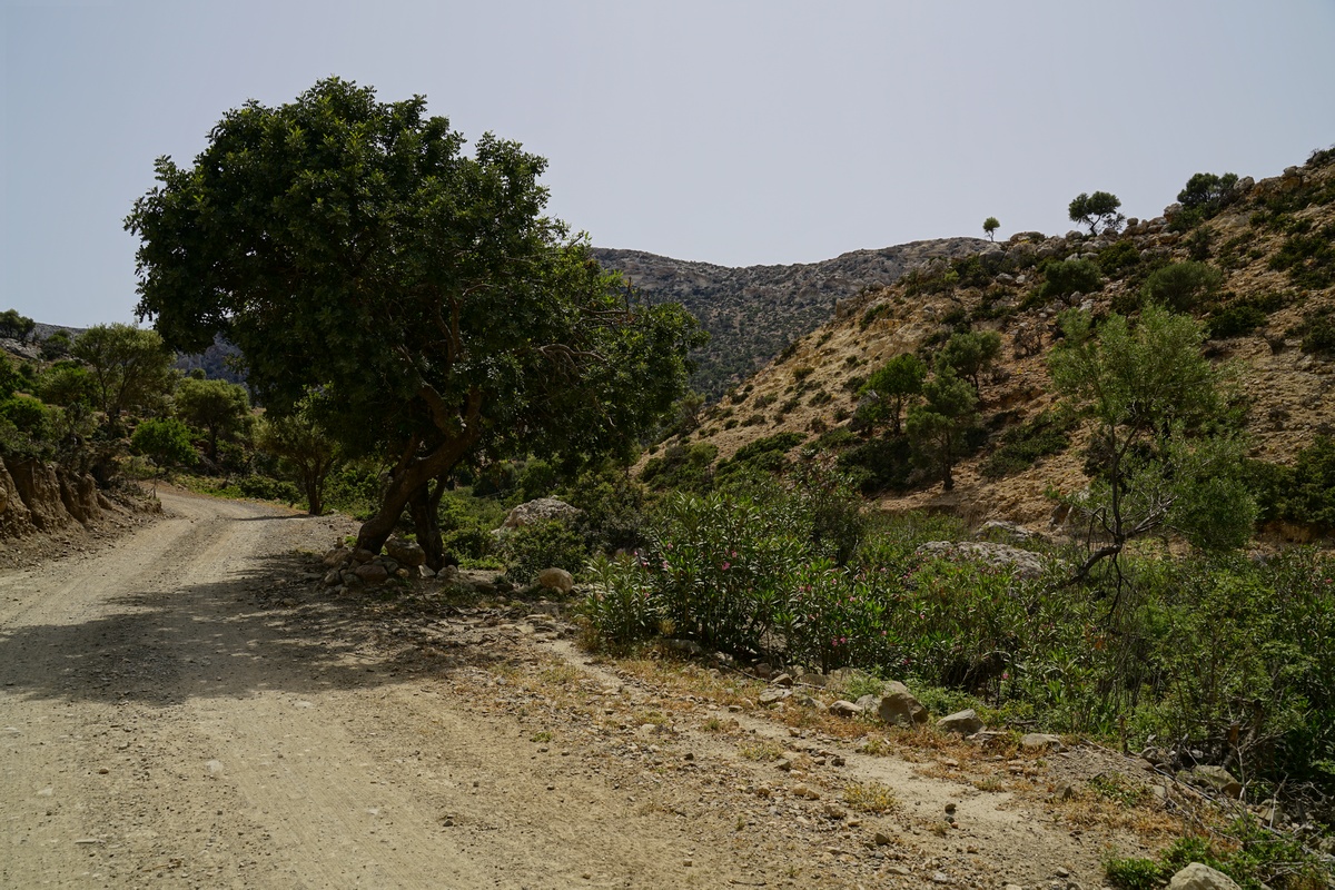 Schotterpiste zur Agiofárango-Schlucht auf Kreta