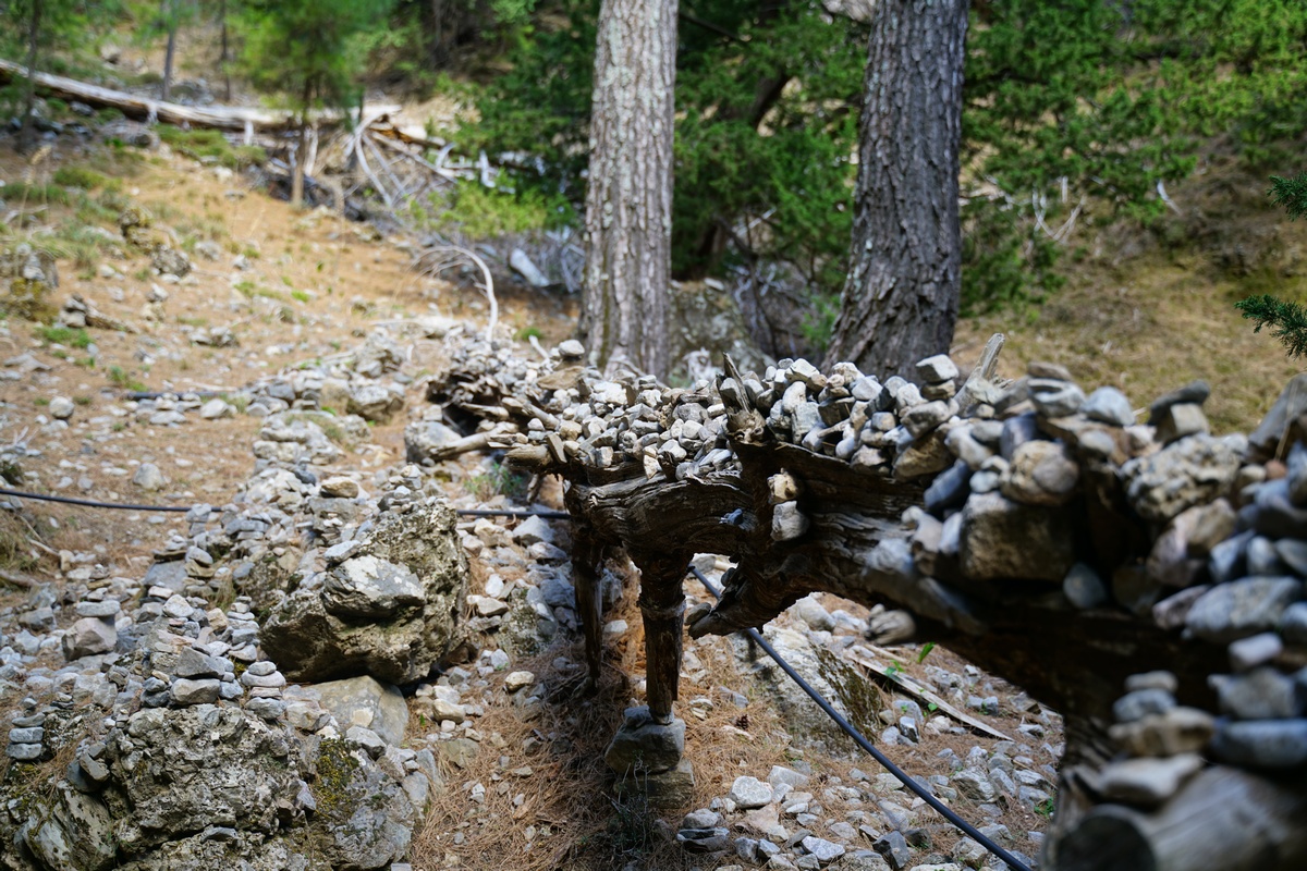 Steinmännchen auf einem umgefallen Baum in der Samariá-Schlucht auf Kreta