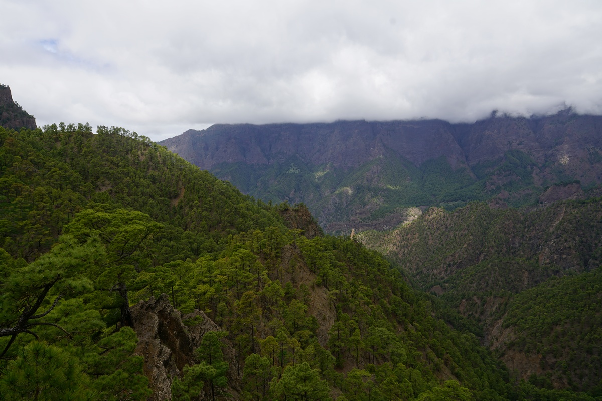 Ausblick vom Mirador de los Roques auf La Palma