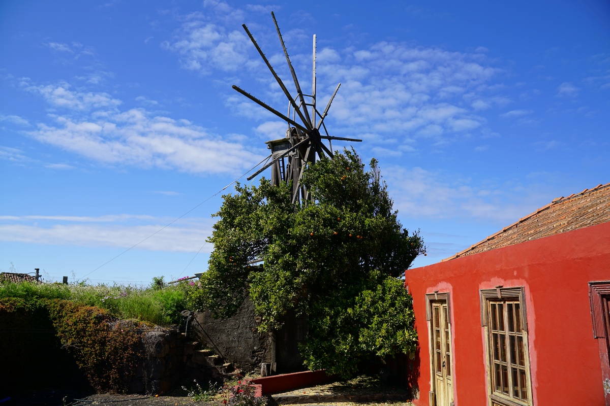 Windmühle von Llano Negro