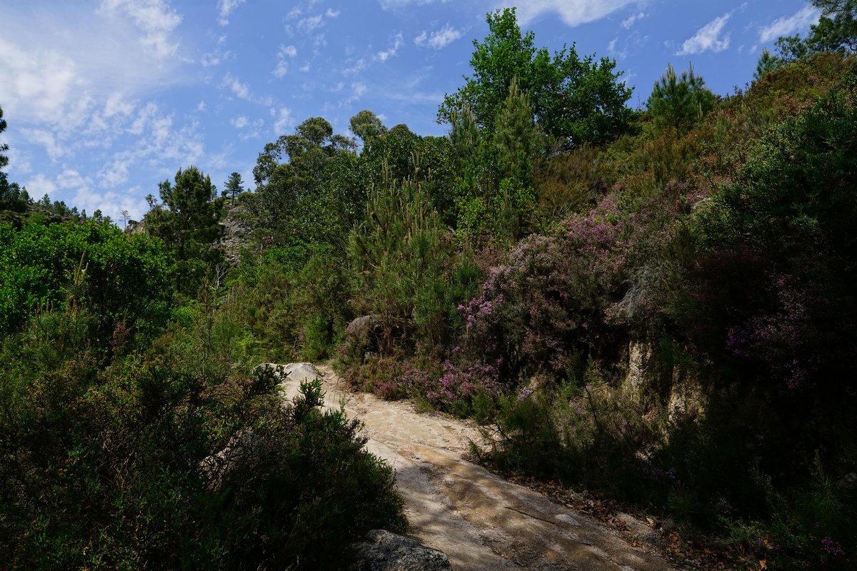 Weg zur Cascata de Pincães im Peneda-Gerês-Nationalpark in Portugal