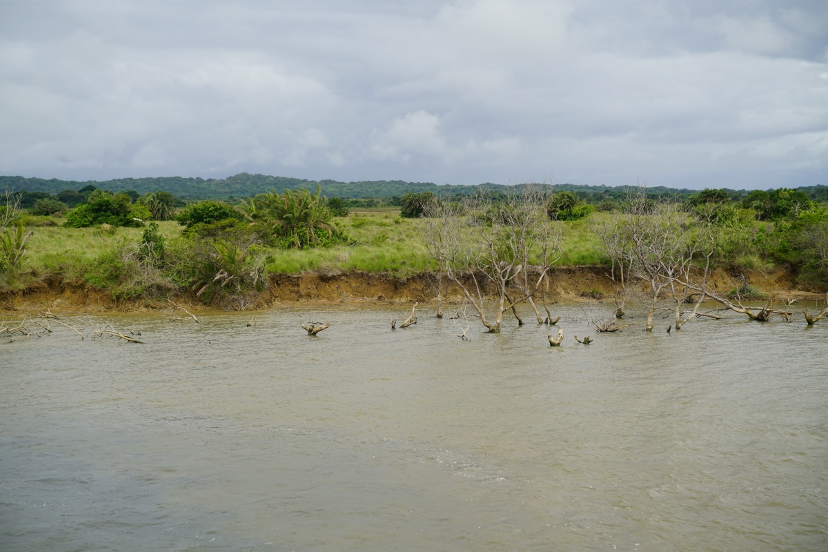 Landschaft im iSimangaliso Wetland Park bei St. Lucia