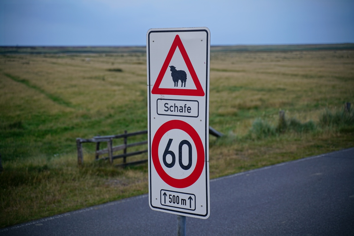 Schild: Tempolimit 60 km/h auf 500 Metern wegen Schafen