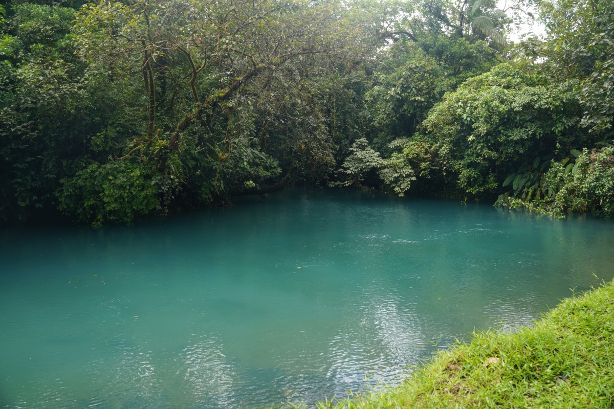 Laguna Azul („Blaue Lagune“) im Tenorio-Nationalpark