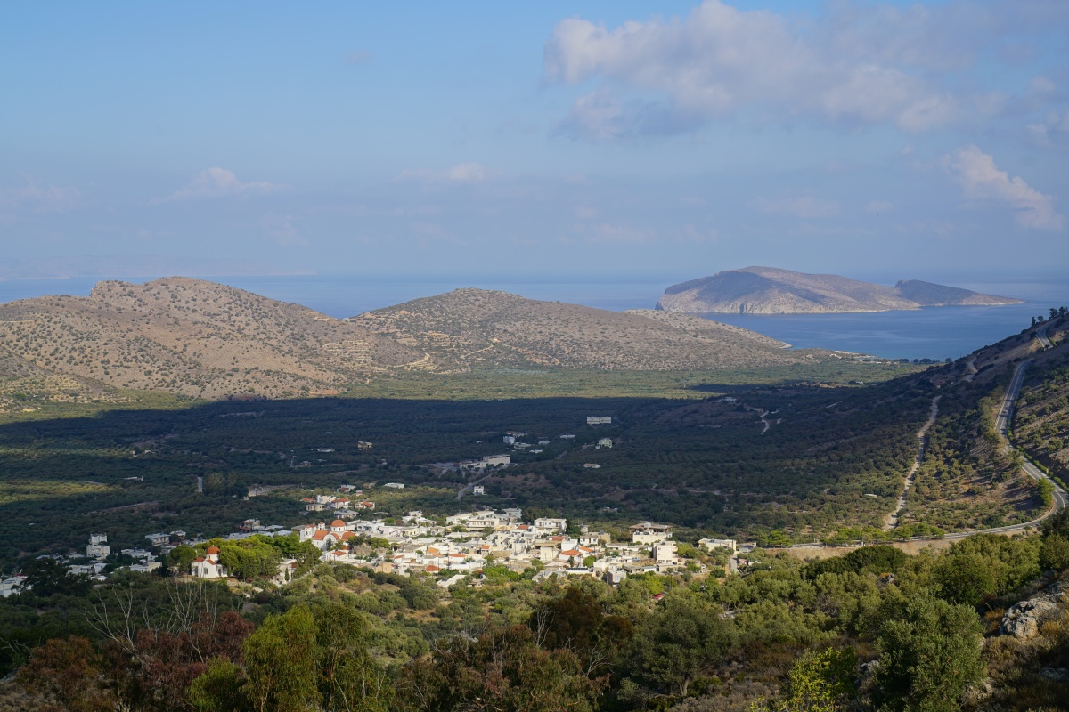 Blick vom monumentalen Olivenbaum auf den namensgebenden Ort Kavoúsi auf Kreta