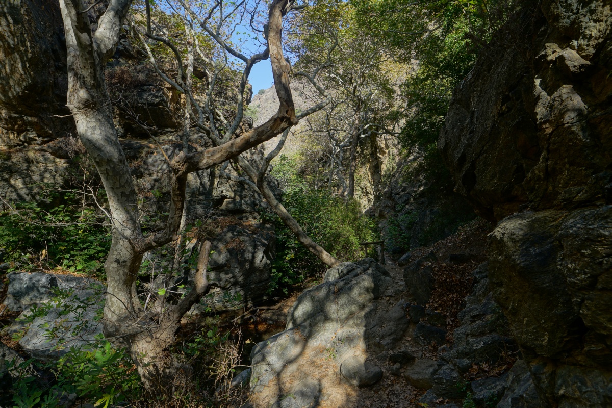 Blick vom See unterhalb des Wasserfalls die Ríchtis-Schlucht auf Kreta hinunter