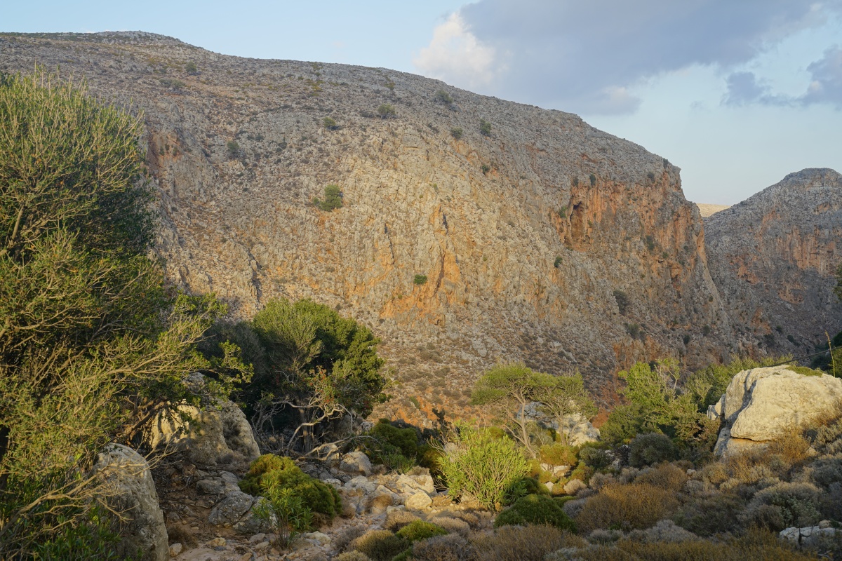 Blick in die Zákros-Schlucht (Schlucht der Toten) auf Kreta