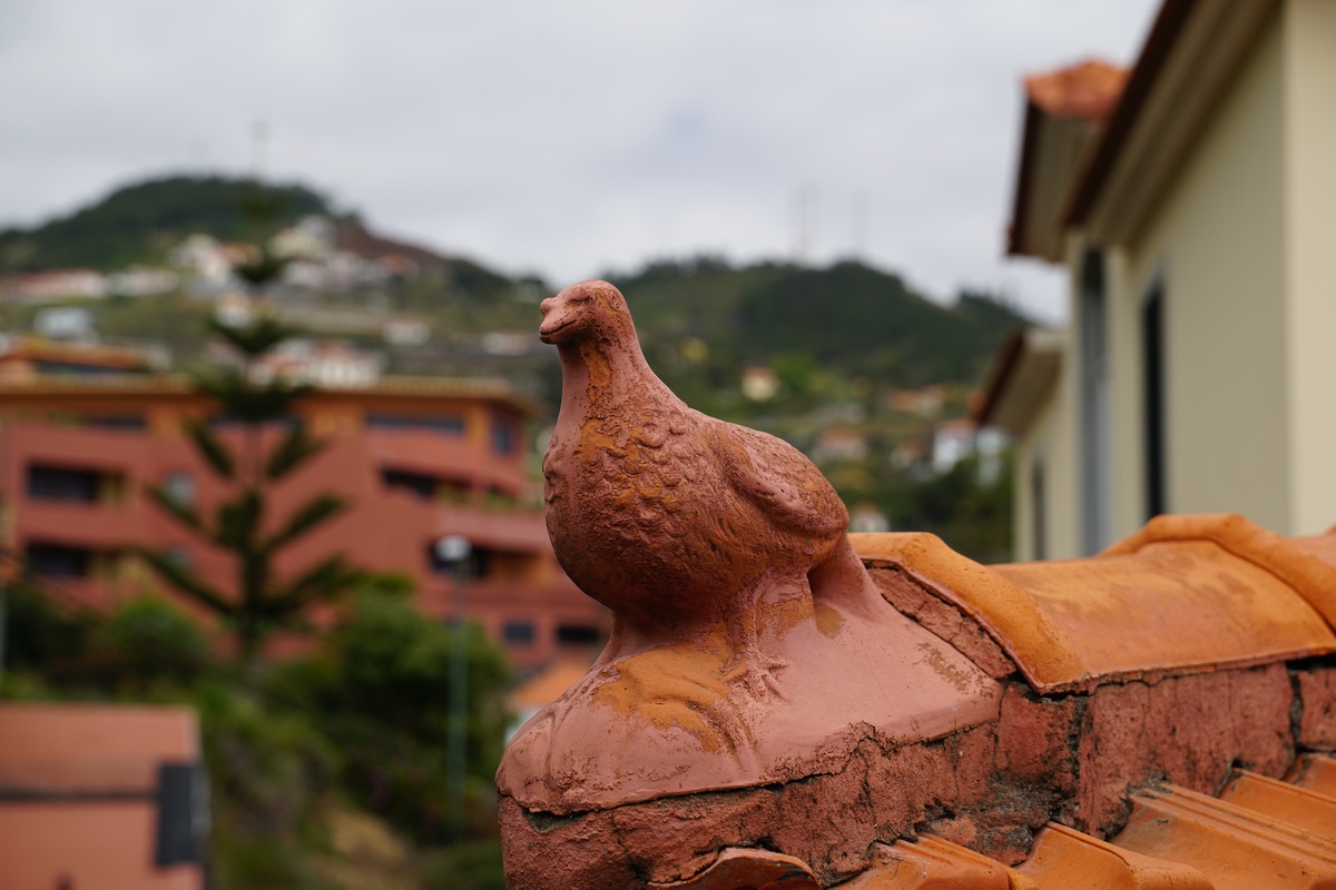 Taubenfigur auf einem Haus in Caniço auf Madeira