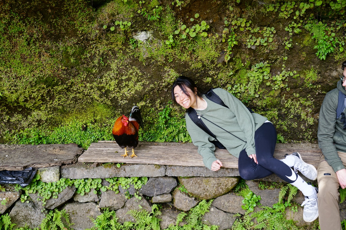Sonja hat auf Madeira ein Date mit einem Hahn, wo die Levada das Rabaças in die Levada do Norte mündet