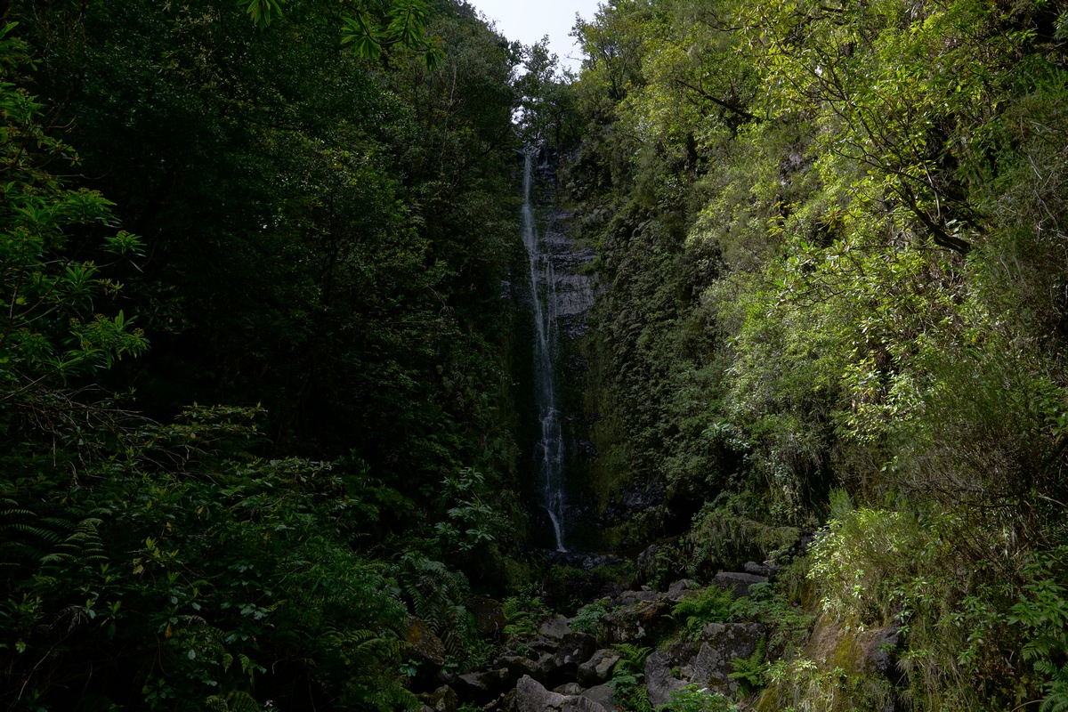 Wasserfall an der Levada do Norte, Teil des Wanderwegs PR17 Caminho do Pinaculo e Folhadal, auf Madeira