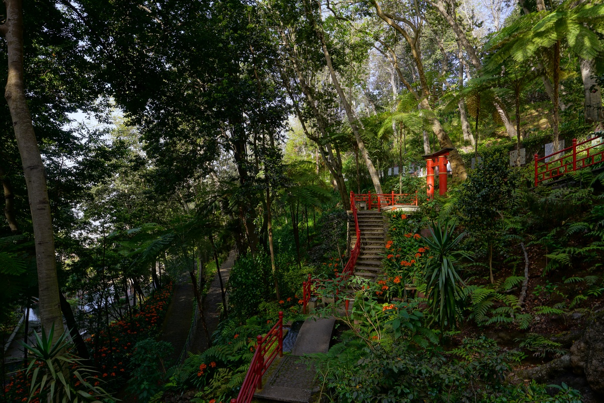 Im japanischen Garden im Monte Palace Tropical Garden auf Madeira