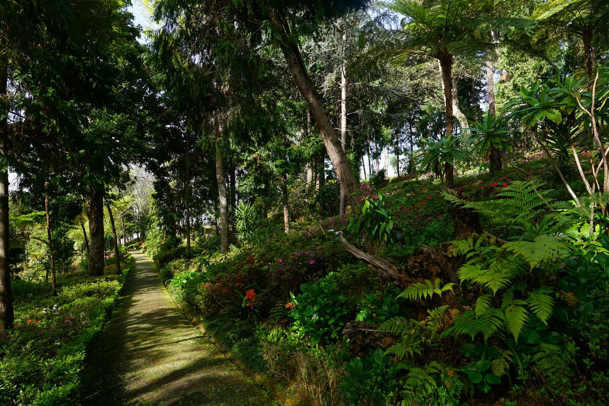 Weg durch den Monte Palace Tropical Garden auf Madeira