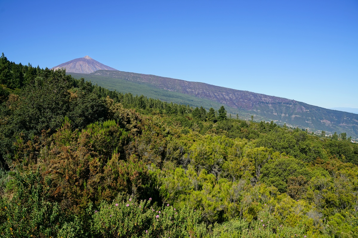Blick vom Mirador de Mataznos auf Teneriffa, links der Pico del Teide, rechts schemenhaft erkennbar La Palma