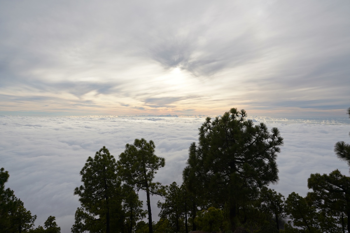 Blick über die Wolken vom Pico Bejenado auf La Palma