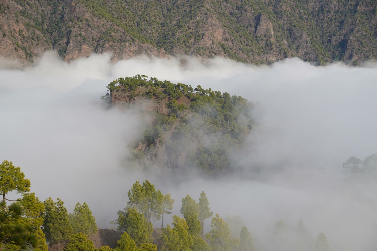 Roque de los Cuervos auf La Palma im Nebel