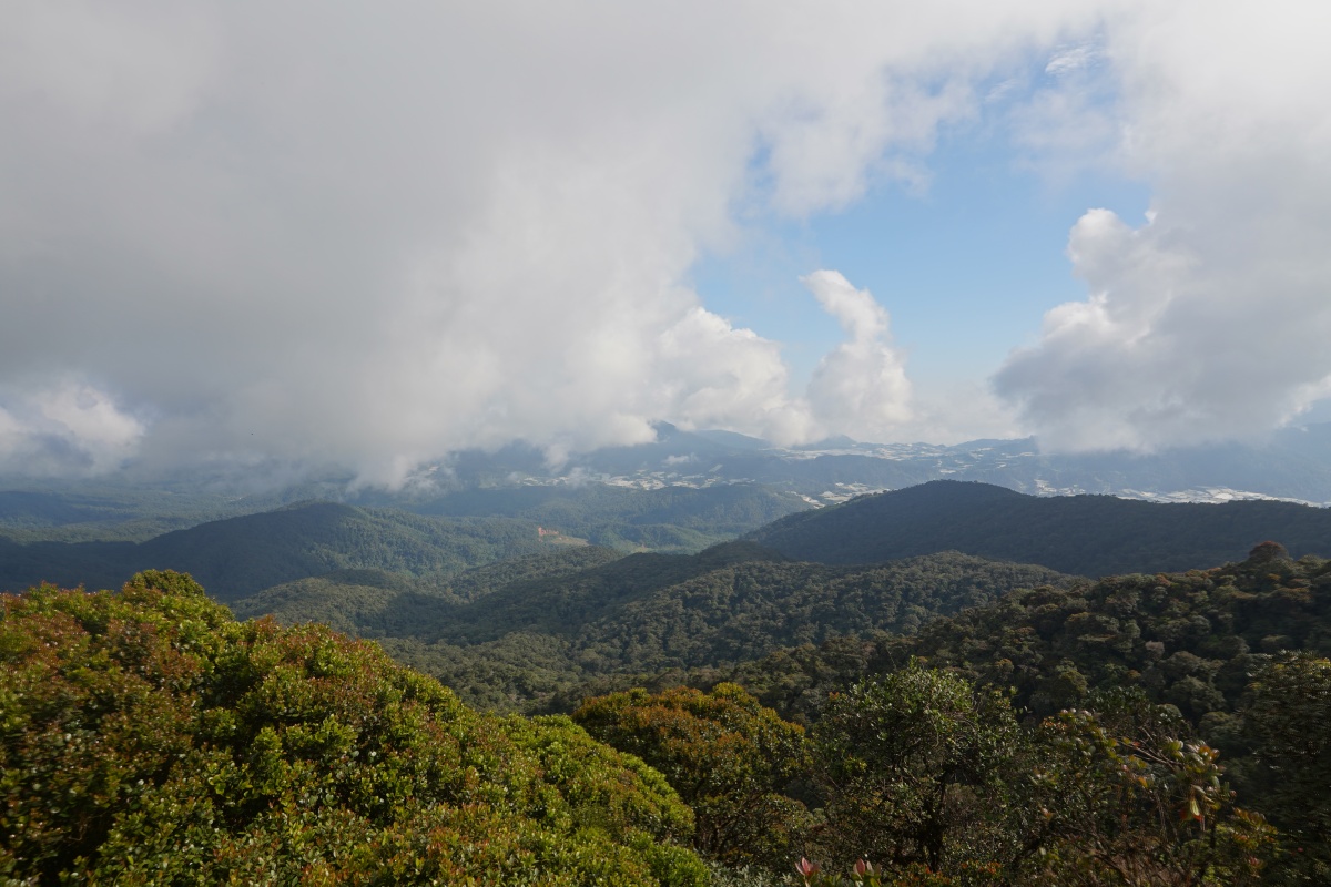 Blick nach Norden vom Mossy-Forest-Turm bei Tanah Rata in den Cameron Highlands