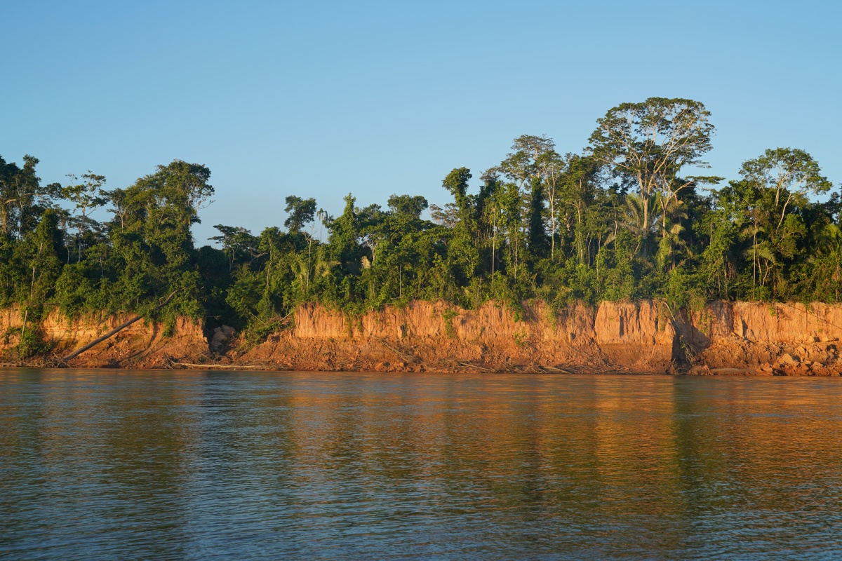 Collpa Chuncho im Tambopata-Nationalreservat
