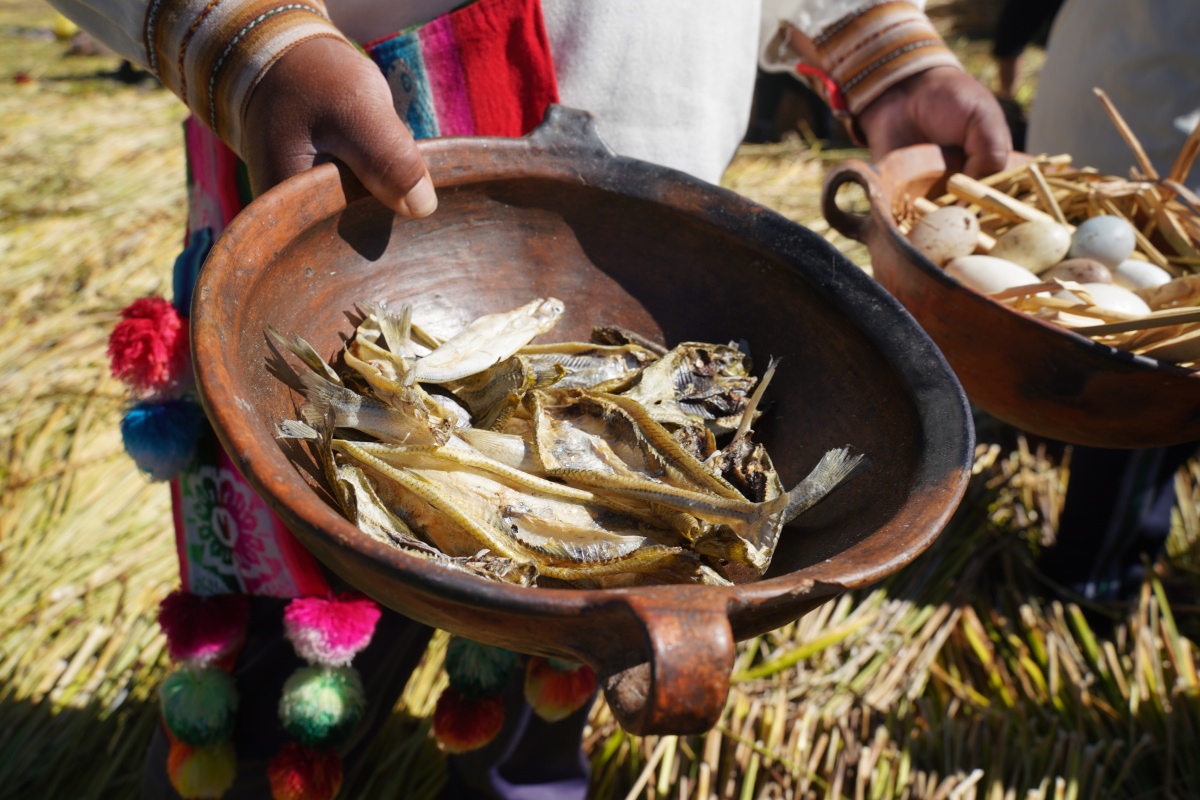 Trockenfisch, den die Aymara auf dem Titikaka-See zum Handeln benutzen